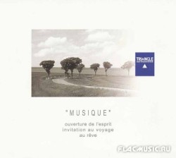 Musique - Triangle Electroacoustique