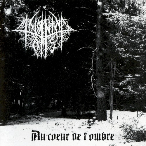 Au Cœur de l'Ombre