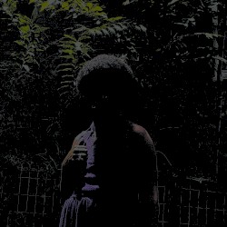 shadow