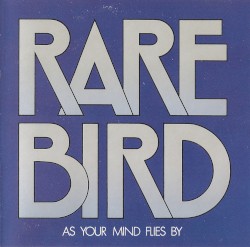 As Your Mind Flies By