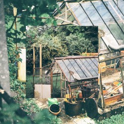 Greenhouse EP