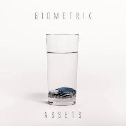 Assets