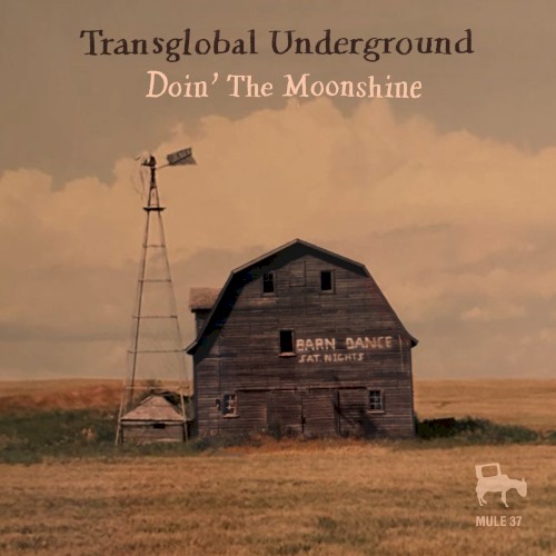 Doin' the Moonshine