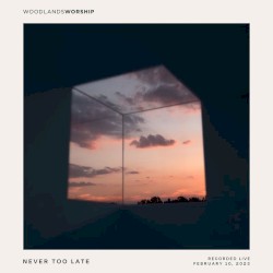 Never Too Late (live)