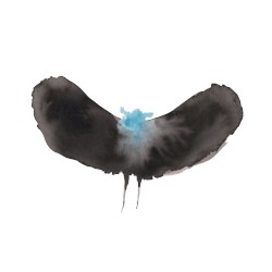 HAYWARDxDÄLEK