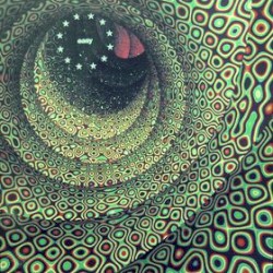 Magic Seed