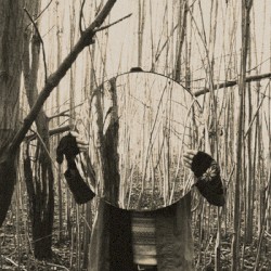 Sea of Trees (Demo)