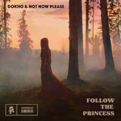 Follow the Princess