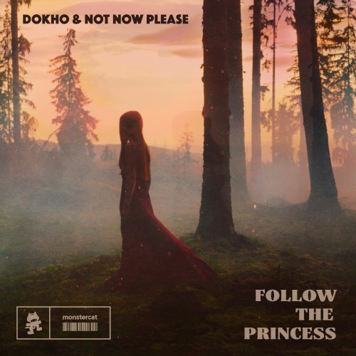 Follow the Princess