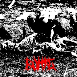 Büitre