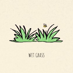 Wet Grass