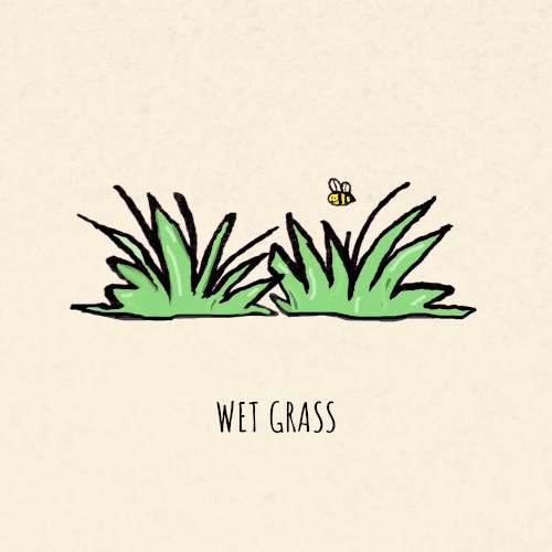 Wet Grass