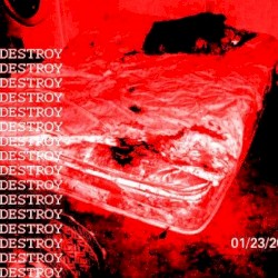 Д3STR0Y