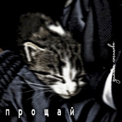 Прощай