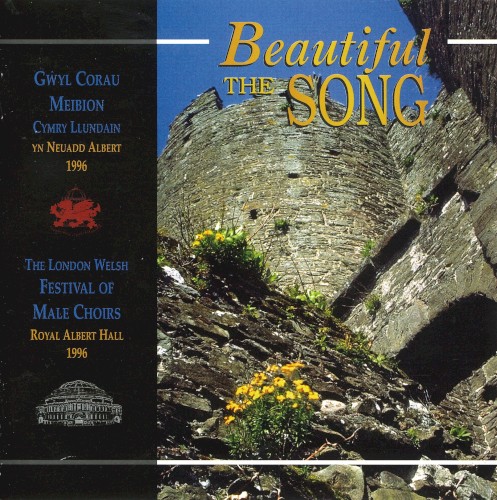 Beautiful the Song