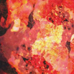 Pale Fire