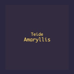 Amaryllis