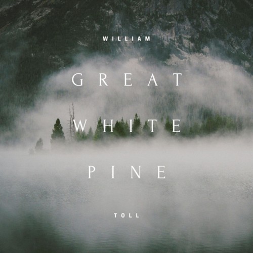 Great White Pine