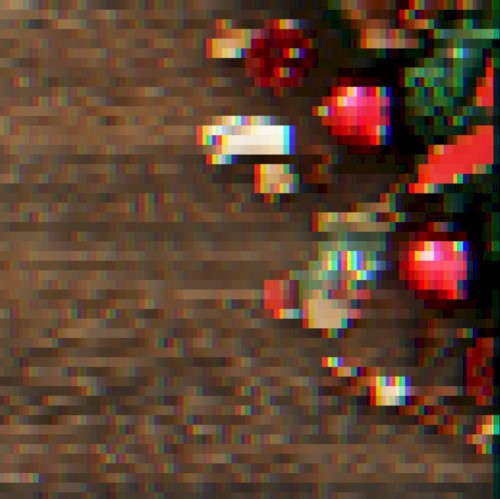 wondafukxmas