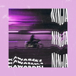 Kawasaki Ninja