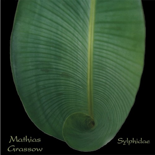 Sylphidae