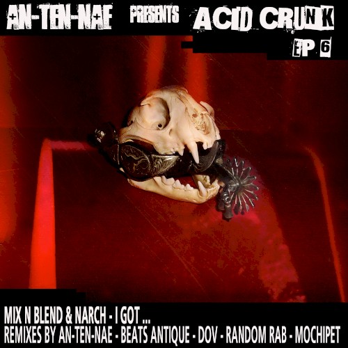 Acid Crunk EP 6