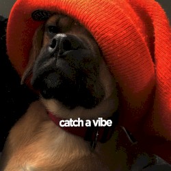 Catch a Vibe