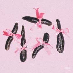 Leech (Toronto Is Broken remix)
