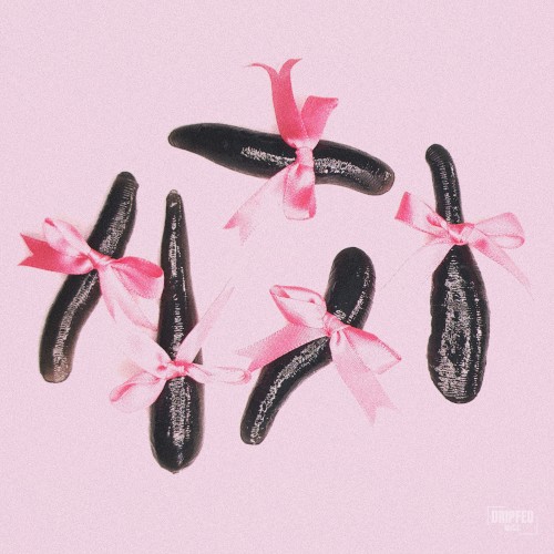 Leech (Toronto Is Broken remix)