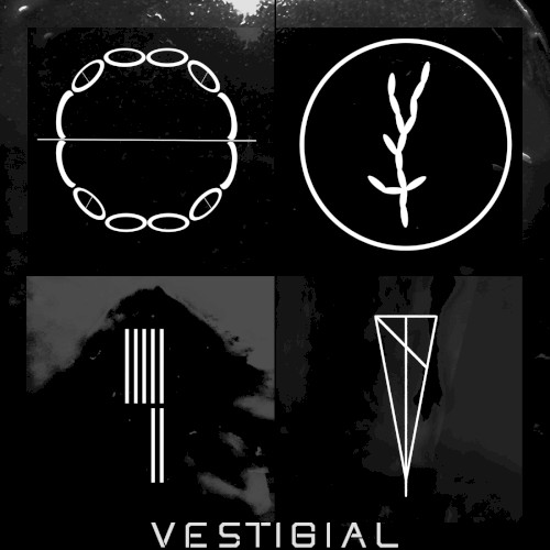 Vestigial