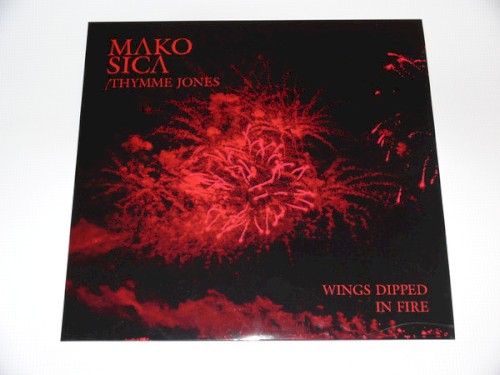 Wings Dipped in Fire