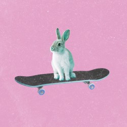 Curious Alice / It's Very Sunny