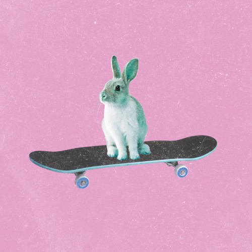 Curious Alice / It's Very Sunny
