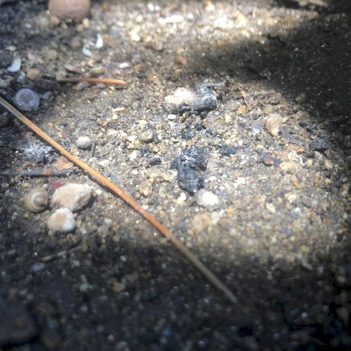 Dust to Dust