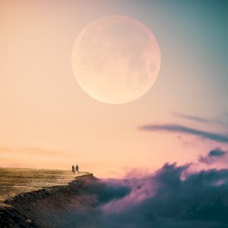 The Image of Life