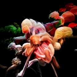 Artificial Ecologies