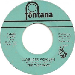 Lavender Popcorn / What Kind Of Face