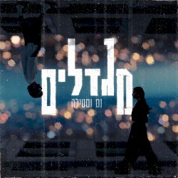 מגדלים