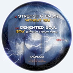 Without You / Stay (remix)