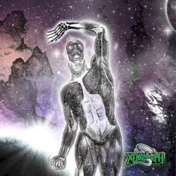 Accelerated Evolution