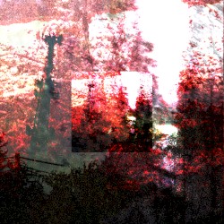 the following vol. I: recotru thencr