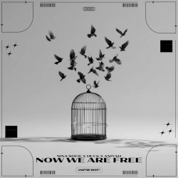 Now We Are Free