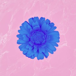 Maybe (Stripped)