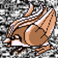 #018 ~ Pidgeot