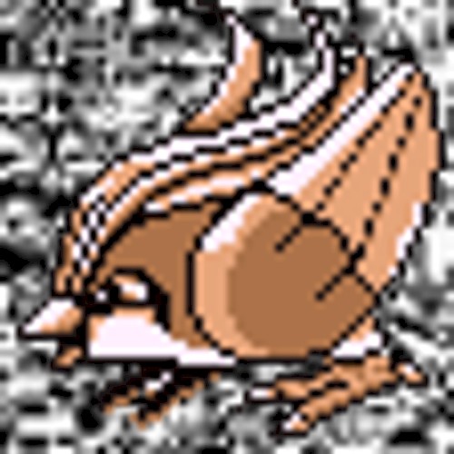 #018 ~ Pidgeot