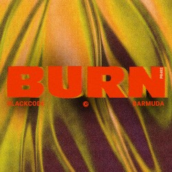 Burn