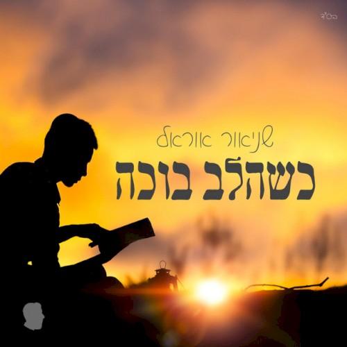 Kshehalev Boche