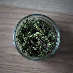 Sarrée