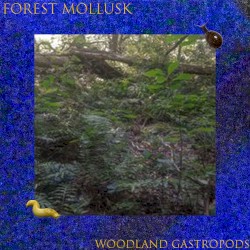 Woodland Gastropods