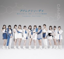 アドレナリン・ダメ / 弱さじゃないよ、恋は / アイドル天職音頭
